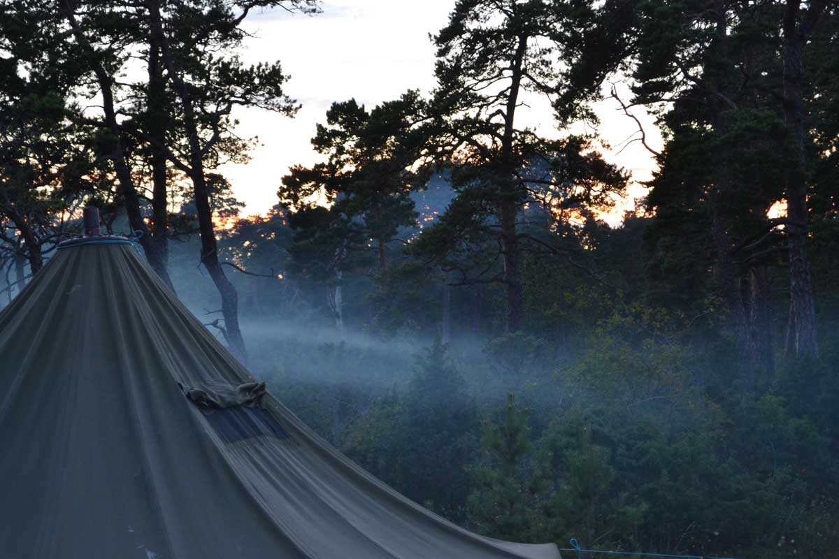 Ett tält som står i en tallskog.